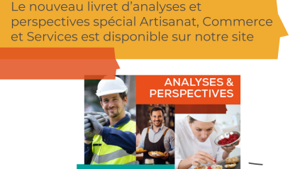 Livret analyses et perspectives ACS
